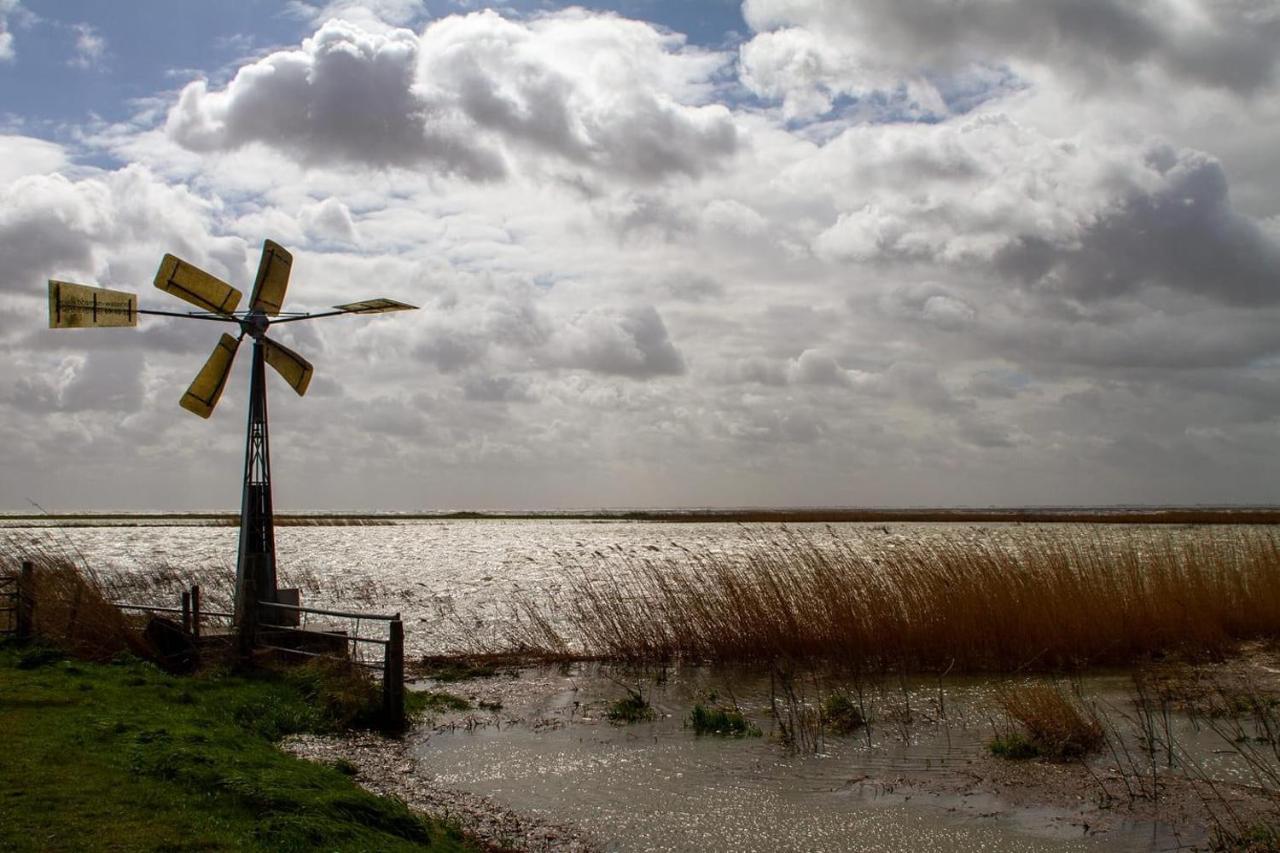 Holidayhome Geuzenhoeve Op De Munnickaij Schellinkhout ภายนอก รูปภาพ